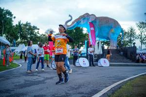 BIB: 
                            <button type="button" onclick="openModal(26551745)" class="btn btn-primary btn-sm float-right btn-popup" data-toggle="modal" data-target=".modal-high-quality">
                        <i class="fas fa-shopping-cart"></i> Add to Cart
                    </button>
                                            <button type="button" onclick="isThisMe(26551745, true)" class="btn btn-success btn-sm float-right btn-popup btn-isme hidden" data-toggle="tooltip" data-placement="bottom" title="นี่คือรูปของคุณใช่ไหม คลิกที่นี่เพื่อเอาเข้าอัลบั้ม">
                        <i class="fas fa-plus"></i> Add to album
                    </button>
                    <button type="button" onclick="isThisMe(26551745, false)" class="btn btn-warning btn-sm float-right btn-popup btn-isnotme hidden">
                        <i class="fas fa-ban"></i> Remove from album
                    </button>